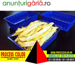 Imagine anunţ Caserole fasole verde pastai, ciuperci, legume Process Color