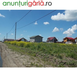 Imagine anunţ Lot teren + retea electrica la lot / Berceni-Ilfov