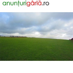 Imagine anunţ Teren agricol de vanzare – jud. Giurgiu –Ghimpati – 62 ha