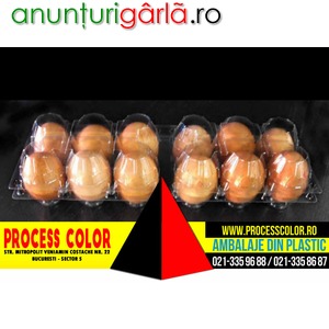 Imagine anunţ Cofraje oua 12 compartimente Process Color