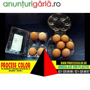 Imagine anunţ Cofraje pentru oua gaina XL Process Color