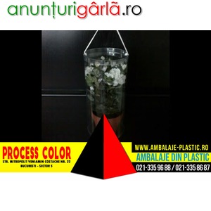 Imagine anunţ Cutii cilindrice pentru ghivece flori Process Color