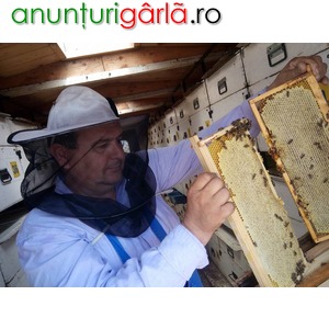 Imagine anunţ Miere de albine BIO, naturala, neprocesata