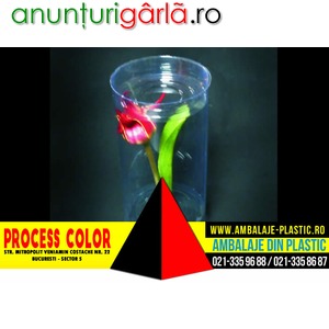 Imagine anunţ Cilindri din plastic cu suport pentru floare Process Color