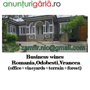 Imagine anunţ Vand afacere vinuri in Odobesti, Jaristea (sediu+crama+podgorie vie+teren+padure)