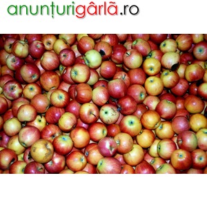 Imagine anunţ Depozit de mere Germania