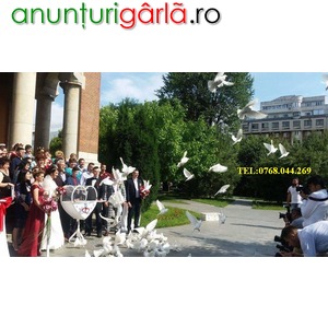 Imagine anunţ Inchiriez porumbei ptr. nunti-botezuri Craiova