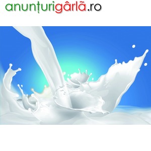 Imagine anunţ Fabrica lactate Germania 1600 euro NET