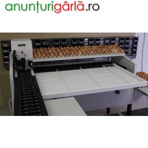 Imagine anunţ Ferma de pasari -ambalat oua 1600 euro net Germania