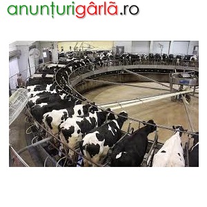 Imagine anunţ Muncitor la ferma de lactate, 2200 Euro, Irlanda