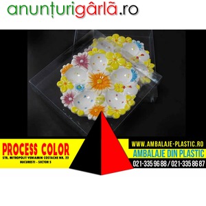 Imagine anunţ Cutii pentru farfurie decorativa Process Color