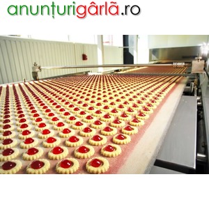 Imagine anunţ Fabrica de biscuiti Anglia