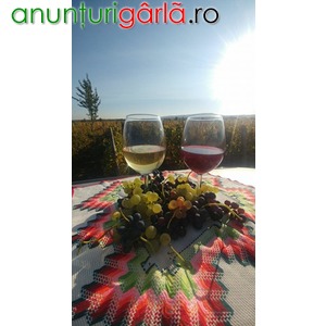 Imagine anunţ Crama Toaca Cosmin - vinuri albe si rosii