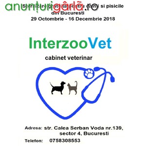 Imagine anunţ Sterilizari gratuite pentru caini si pisici 29.10 – 16.12 2018 – Bucuresti