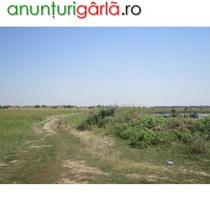 Imagine anunţ Teren agricol 43300 mp, Bolintin-Deal, Giurgiu