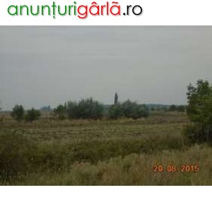 Imagine anunţ Teren arabil 14.880 mp, Otopeni, Ilfov