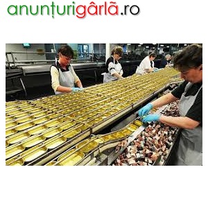 Imagine anunţ Fabrica de preparate si conserve din peste Norvegia/ 2500 euro