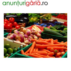 Imagine anunţ Operatori depozit legume fructe Suedia/ 2500 euro