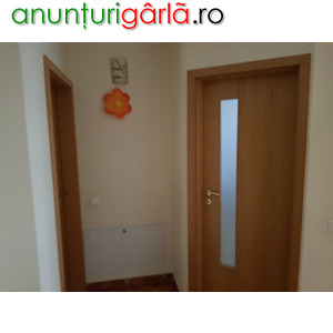 Imagine anunţ Amenajari Apartamente/Renovare Apartament/Zugravit Casa