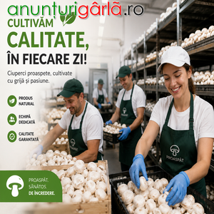 Imagine anunţ depozit bere germania