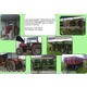 Imagine anunţ Vand tractor massey ferguson, remorca, plantator, plug