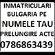 Imagine anunţ Inmatriculare auto Bulgaria direct pe numele tau