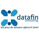 Imagine anunţ Datafin Consulting servicii contabile Oradea