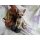 Imagine anunţ Vand catelusi Chihuahua afectuosi, devotati si loiali familiei .Catelusii nu parasesc cuibul inainte de 8 saptamani, iar pana in momentul plecarii sunt hraniti