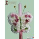 Imagine anunţ Florarie Flower Factory