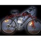 Imagine anunţ Bicicleta cu motor 2T