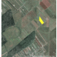 Imagine anunţ Vand 2 loturi insumand 1350 mp teren intravilan in Clinceni, Ilfov