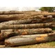 Imagine anunţ Vand lemne de foc ieftine