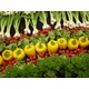 Imagine anunţ Hale la ambalat fructe, legume si flori in Germania/1400 euro