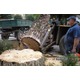 Imagine anunţ Muncitori forestieri Austria 1800 euro