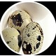 Imagine anunţ Oua de prepelita proaspete la numai 5,90 lei 24 bucati