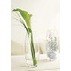 Imagine anunţ Vaza eleganta din sticla transparenta