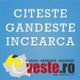 Imagine anunţ Stiri online www.eveste.ro
