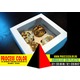 Imagine anunţ Cutii prajituri, cutii carton 4 prajituri Process Color