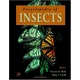 Imagine anunţ Encyclopedia of Insects 90 RON