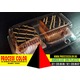 Imagine anunţ Caserole din plastic doua compartimente prajituri ciocolata Process Color