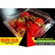 Imagine anunţ Caserole din plastic pentru capsuni, fructe Process Color
