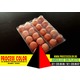 Imagine anunţ Caserole oua gaina 20 compartimente Process Color