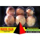 Imagine anunţ Caserole oua gaina 6 compartimente Process Color