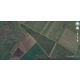 Imagine anunţ Vanzare teren agricol –Mihailesti –Giurgiu – 40,15 ha