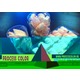 Imagine anunţ Ambalaje din plastic figurine Marshmallow Process Color