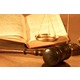 Imagine anunţ Companie juridică în Moldova - Schneider Law Group