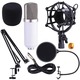 Imagine anunţ Microfon Studio BM700 kit, pop filtru, stand brat articulat, 260 lei !