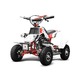 Imagine anunţ mini ATV Quadro 50cc Electro-Start livrare GRATIS