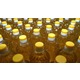 Imagine anunţ Fabrica ulei in Germania 1600 euro net