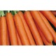 Imagine anunţ Depozit sortat morcovi Germania